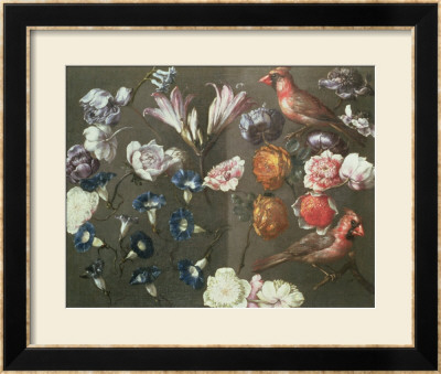 A Study Of Peonies, Convolvulus, Lilies And Two Finches by Gaspar Peeter The Elder Verbruggen Pricing Limited Edition Print image