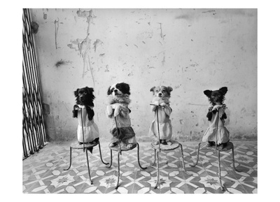 Conde Nast, Trunk Archive by Mary Ellen Mark Pricing Limited Edition Print image