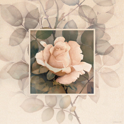Rose I by Jang Won Lee Pricing Limited Edition Print image