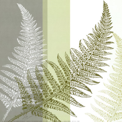 Fern by Hanna Vedder Pricing Limited Edition Print image