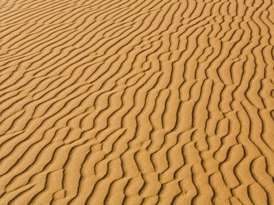 Africa, Namibia, Namib Desert, Dune Structure, Full Frame by Fotofeeling Pricing Limited Edition Print image