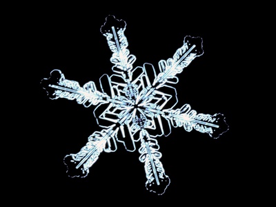Stellar Snow Crystal by Richard Walters Pricing Limited Edition Print image
