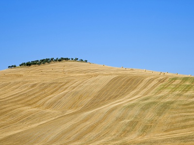 Italy, Tuscany, Harvested Corn Field, Bales Of Straw In Background by Fotofeeling Pricing Limited Edition Print image