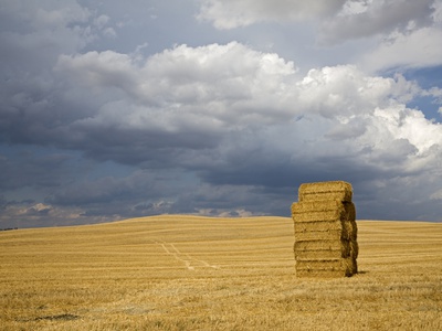 Italy, Tuscany, Stacked Bales Of Straw On Corn Field by Fotofeeling Pricing Limited Edition Print image