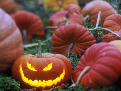 A Jack-O-Lantern In A Pumpkin Patch, British Columbia, Canada. by David Nunuk Pricing Limited Edition Print image