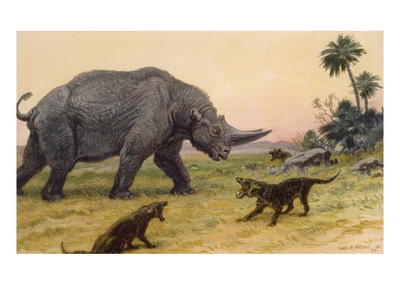 Bony Growths On The Arsinoitherium Protect It Against Hyaenodons by National Geographic Society Pricing Limited Edition Print image