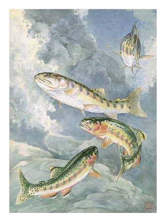 Painting Of South Fork Golden Trout, Lower, And Piute Trout, Upper by National Geographic Society Pricing Limited Edition Print image