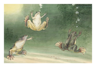 The Aglossa Frogs Are Aquatic, Coming Up For Air Every Few Minutes. by National Geographic Society Pricing Limited Edition Print image