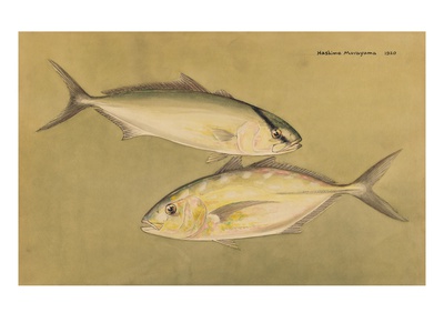 A Painting Of Jack Fish. by National Geographic Society Pricing Limited Edition Print image