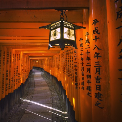 Fushimi Inari-Taisha Shrine by Jonathan Hicks Pricing Limited Edition Print image