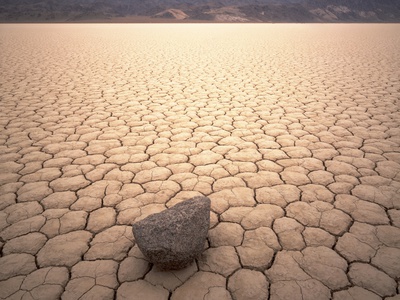Rock In Dry Cracked Desert Landscape by Pat O'hara Pricing Limited Edition Print image