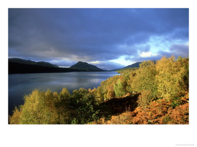 Loch Laggan In Autumn, Badenoch, Scotland by Mark Hamblin Pricing Limited Edition Print image