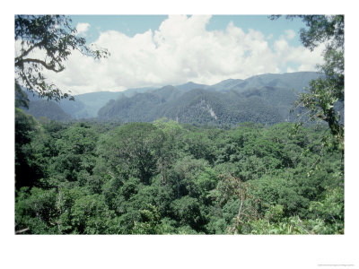 Mulu National Park, Borneo, Weather Time-Lapse, 11.45 Am by Rodger Jackman Pricing Limited Edition Print image