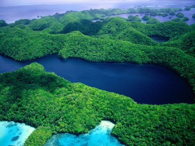 Aerial View Of Long Lake On Mecherchar Island, Rock Islands, Koror, Palau by Michael Aw Pricing Limited Edition Print image