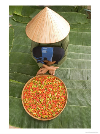 Woman Selling Chili Peppers, Thailand by Gavriel Jecan Pricing Limited Edition Print image