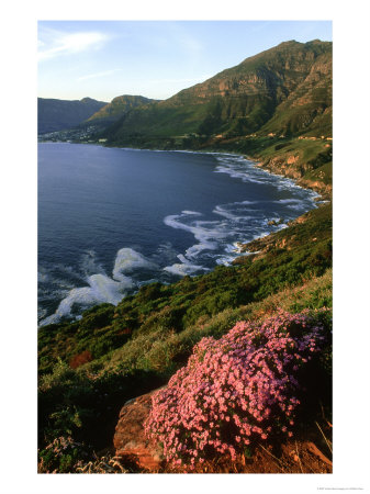 Hout Bay, Cape Peninsula, S. Africa by William Gray Pricing Limited Edition Print image