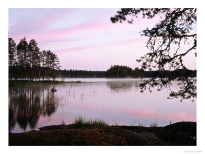 Morning Light In Lake Havkkajarvi, South Finland by Heikki Nikki Pricing Limited Edition Print image