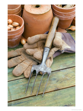 Hand Fork, Gardening Gloves And Terracotta Pots On Potting Bench by Geoff Kidd Pricing Limited Edition Print image