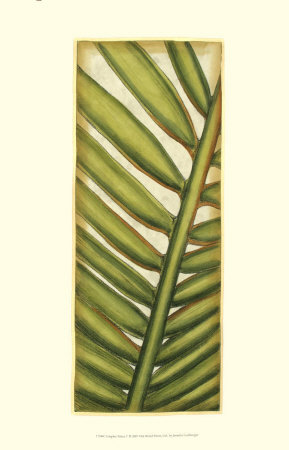Graphic Palms V by Jennifer Goldberger Pricing Limited Edition Print image