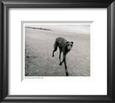 Wolfhound On Beach by Rick Zolkower Pricing Limited Edition Print image