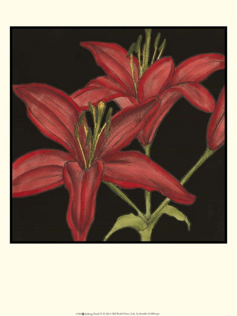 Striking Floral Iv by Jennifer Goldberger Pricing Limited Edition Print image