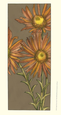 Graphic Flower Panel I by Jennifer Goldberger Pricing Limited Edition Print image