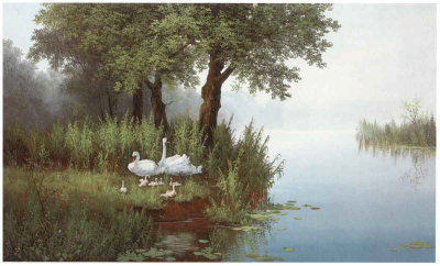 Swans At The Pound I by Slava Pricing Limited Edition Print image