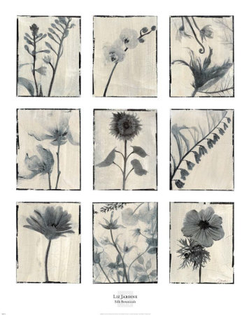 Silk Botanicals by Elizabeth Jardine Pricing Limited Edition Print image