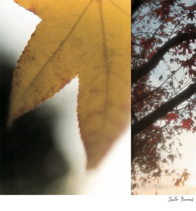 Autumn Leaves Ii by Jennifer Broussard Pricing Limited Edition Print image