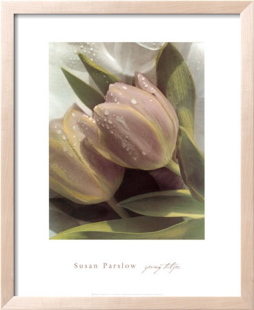 Spring Tulips by Susan Parslow Pricing Limited Edition Print image