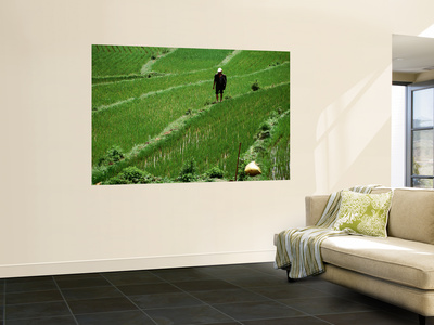 Man In Rice Field Between Dali And Kunming by Amerens Hedwich Pricing Limited Edition Print image