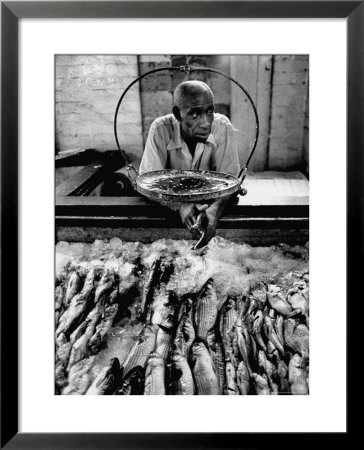Employee Of Fish Stall In The Old City Market by Robert W. Kelley Pricing Limited Edition Print image