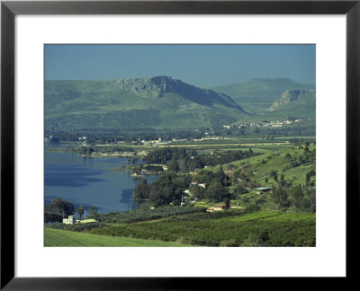 Tabgha, Sea Of Galilee, Israel, Middle East by Simanor Eitan Pricing Limited Edition Print image