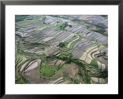 Aerial View Of The Eastern Region Of The Island Of Bali, Indonesia, Southeast Asia by Bruno Barbier Pricing Limited Edition Print image
