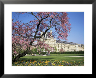 Jardin Des Tuileries And Musee Du Louvre, Paris, France by Neale Clarke Pricing Limited Edition Print image