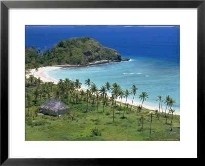 Coconut Plantation And Old Farmhouse Beside Coral Sand Bay, Mana Island, Mamanuca Group, Fiji by Tony Waltham Pricing Limited Edition Print image