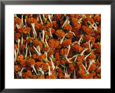 Flowers For Diwali (Festival Of Lights), Calcutta, West Bengal State, India, Asia by Gavin Hellier Pricing Limited Edition Print image