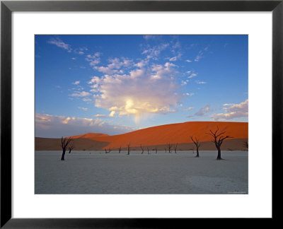 Red Dunes And Dead Acacia Tree, Dead Vlei, Namib-Naukluft-Sossusvlei, Namibia by Gavin Hellier Pricing Limited Edition Print image