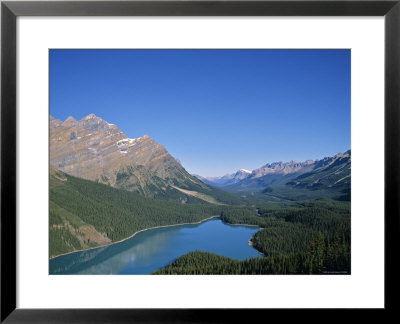Peyto Lake, Banff Np, Alberta, Canada by Danielle Gali Pricing Limited Edition Print image