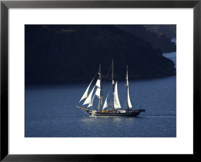 Spirit Of New Zealand Tall Ship, Marlborough Sounds, New Zealand by David Wall Pricing Limited Edition Print image