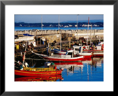 Fishing Boats In Harbour, Punta Del Este, Maldonado, Uruguay by Krzysztof Dydynski Pricing Limited Edition Print image