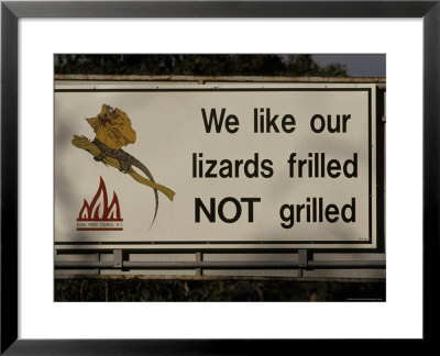 Bush Fire Conservation Road Sign Protects The Frilled Lizards Habitat, Australia by Jason Edwards Pricing Limited Edition Print image