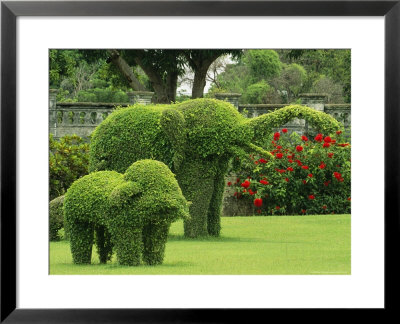 Elephant Topiaries In A Formal Garden by Michael Melford Pricing Limited Edition Print image