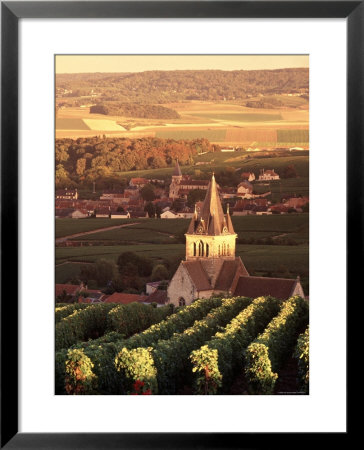 Ville-Dommange, Champagne, France by Doug Pearson Pricing Limited Edition Print image