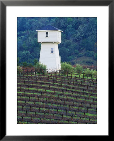 Silver Oak Cellars, Alexander Valley Wine Country, California by John Alves Pricing Limited Edition Print image
