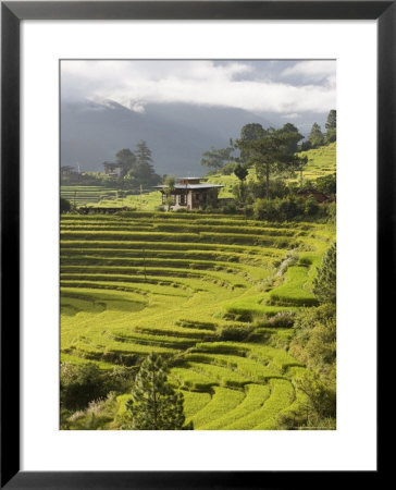 Punakha, Himalayas, Bhutan by Angelo Cavalli Pricing Limited Edition Print image