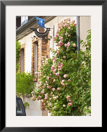 House With Rose Bushes And Wrought Iron Sign, Hautvillers, Vallee De La Marne, Champagne, France by Per Karlsson Pricing Limited Edition Print image