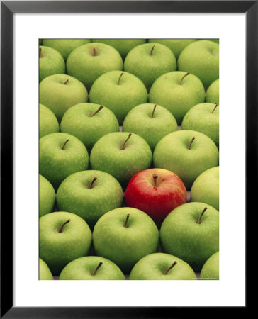 Single Red Apple Among A Number Of Green Apples by John Miller Pricing Limited Edition Print image