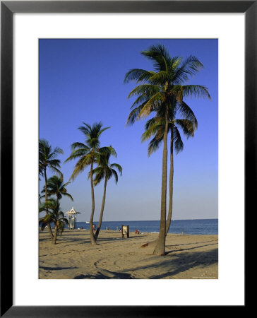 Fort Lauderdale Beach, Florida, Usa by Fraser Hall Pricing Limited Edition Print image