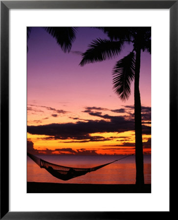 Hammock On Beach, Fiji by David Wall Pricing Limited Edition Print image